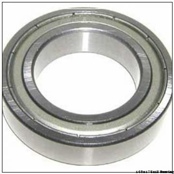 bearing Szie 140x175x18 mm Angular Contact Ball Bearing B71828-E-TPA-P4