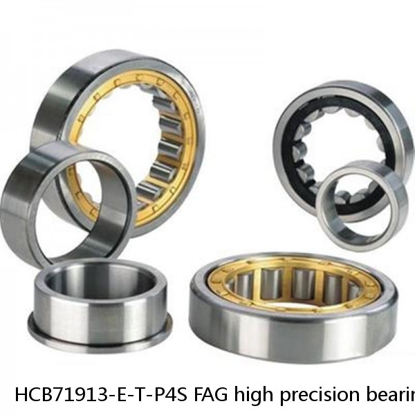 HCB71913-E-T-P4S FAG high precision bearings