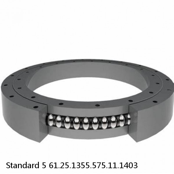 61.25.1355.575.11.1403 Standard 5 Slewing Ring Bearings
