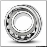 LSL19 2336 full complement Cylindrical roller bearing 180X380X126