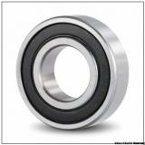 Made in Japan deep groove ball bearing 6019DDU