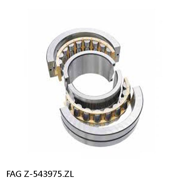 Z-543975.ZL FAG ROLL NECK BEARINGS for ROLLING MILL