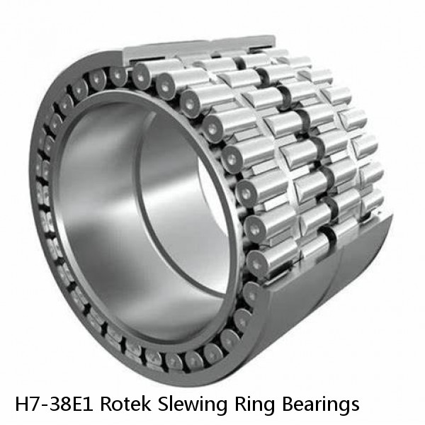 H7-38E1 Rotek Slewing Ring Bearings