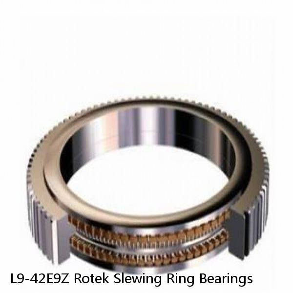 L9-42E9Z Rotek Slewing Ring Bearings