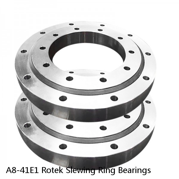 A8-41E1 Rotek Slewing Ring Bearings