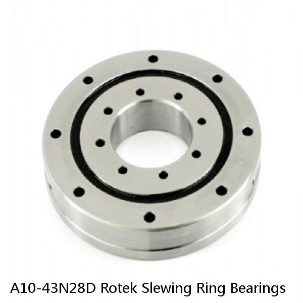 A10-43N28D Rotek Slewing Ring Bearings