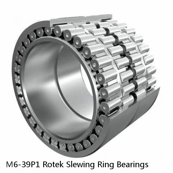 M6-39P1 Rotek Slewing Ring Bearings