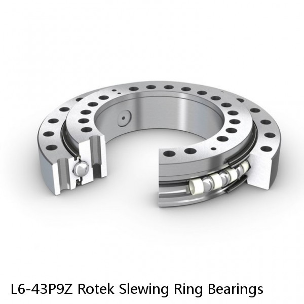 L6-43P9Z Rotek Slewing Ring Bearings