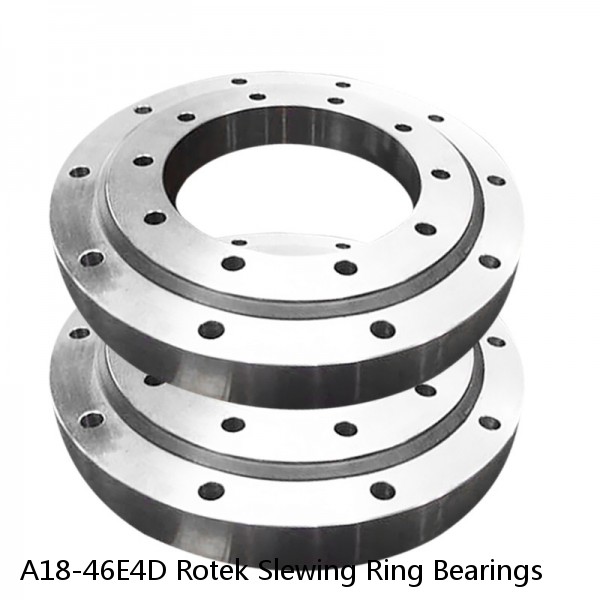 A18-46E4D Rotek Slewing Ring Bearings