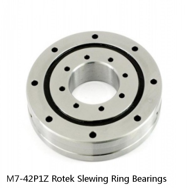 M7-42P1Z Rotek Slewing Ring Bearings