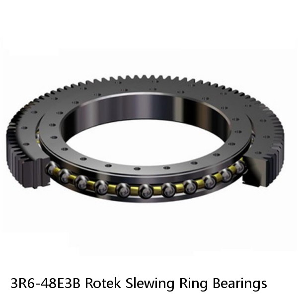 3R6-48E3B Rotek Slewing Ring Bearings