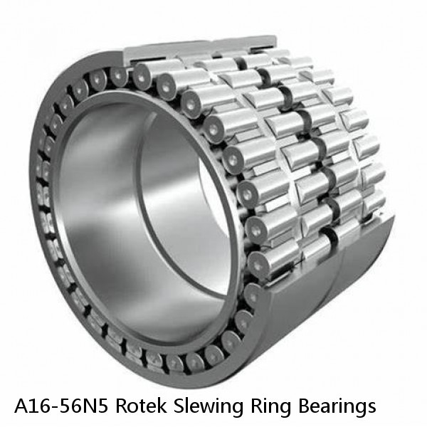 A16-56N5 Rotek Slewing Ring Bearings