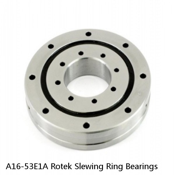 A16-53E1A Rotek Slewing Ring Bearings