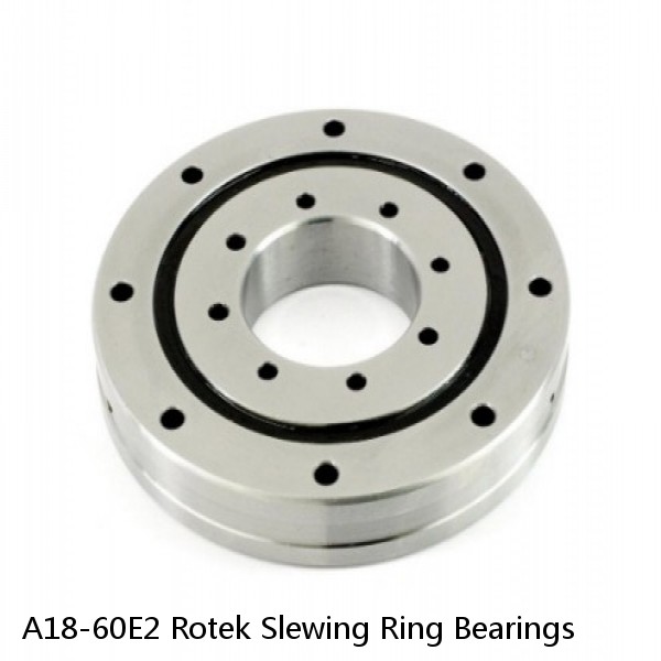 A18-60E2 Rotek Slewing Ring Bearings