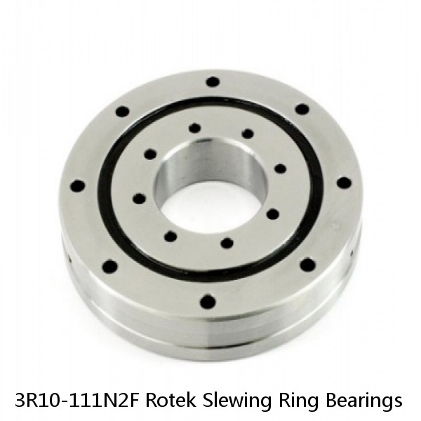 3R10-111N2F Rotek Slewing Ring Bearings