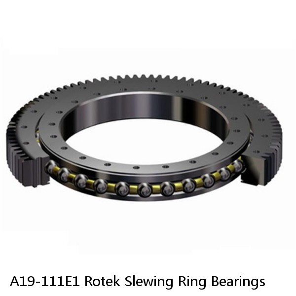 A19-111E1 Rotek Slewing Ring Bearings