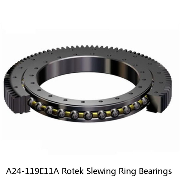 A24-119E11A Rotek Slewing Ring Bearings