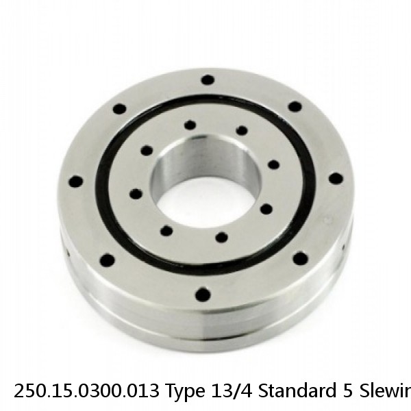 250.15.0300.013 Type 13/4 Standard 5 Slewing Ring Bearings