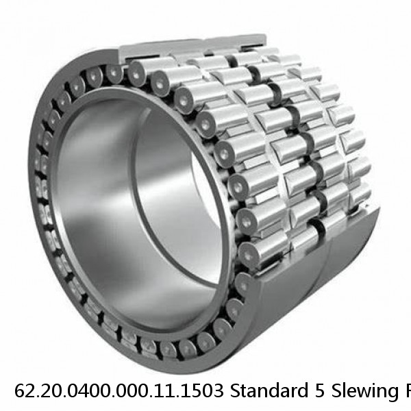 62.20.0400.000.11.1503 Standard 5 Slewing Ring Bearings