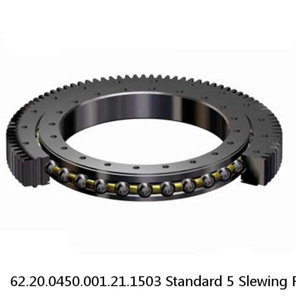 62.20.0450.001.21.1503 Standard 5 Slewing Ring Bearings