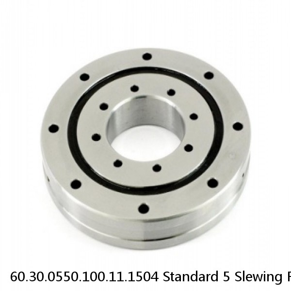 60.30.0550.100.11.1504 Standard 5 Slewing Ring Bearings