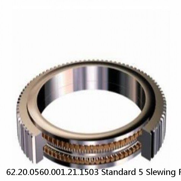 62.20.0560.001.21.1503 Standard 5 Slewing Ring Bearings