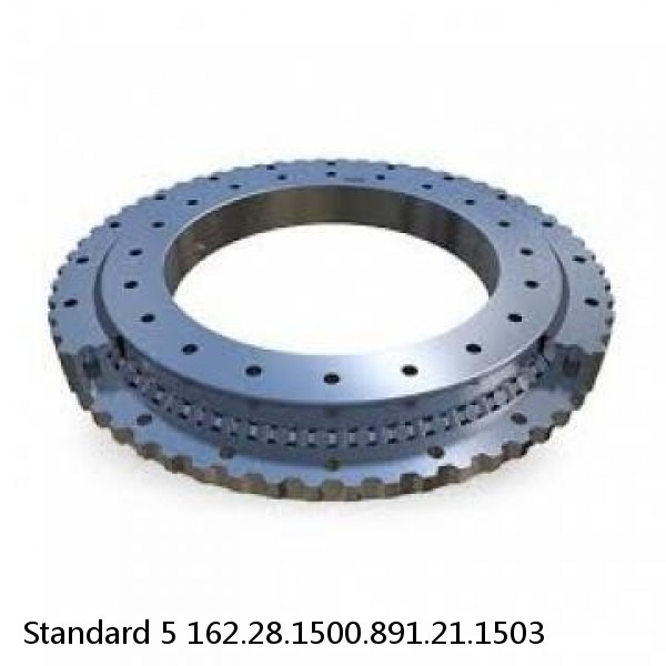 162.28.1500.891.21.1503 Standard 5 Slewing Ring Bearings