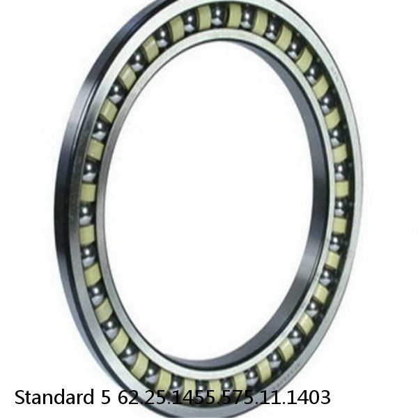 62.25.1455.575.11.1403 Standard 5 Slewing Ring Bearings