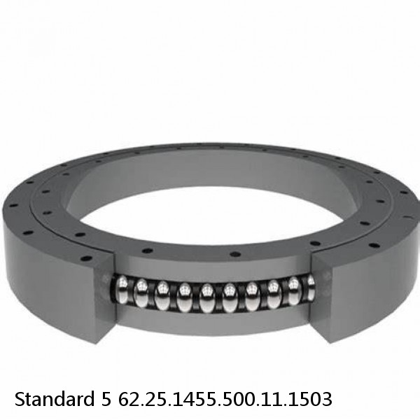 62.25.1455.500.11.1503 Standard 5 Slewing Ring Bearings