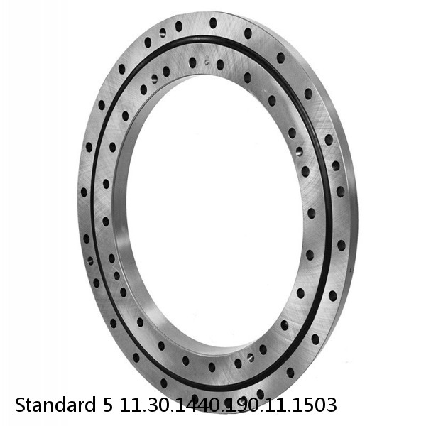 11.30.1440.190.11.1503 Standard 5 Slewing Ring Bearings