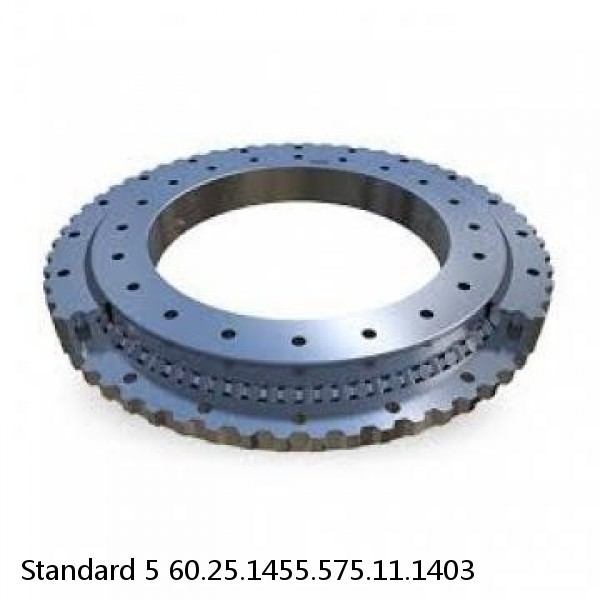 60.25.1455.575.11.1403 Standard 5 Slewing Ring Bearings