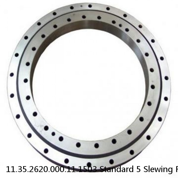 11.35.2620.000.11.1503 Standard 5 Slewing Ring Bearings