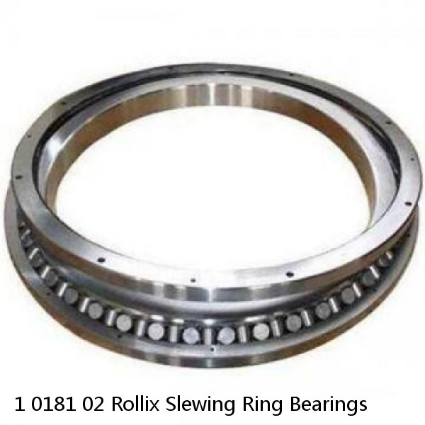 1 0181 02 Rollix Slewing Ring Bearings