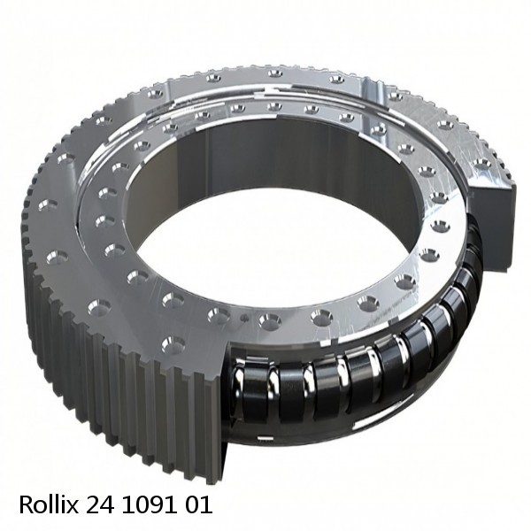 24 1091 01 Rollix Slewing Ring Bearings