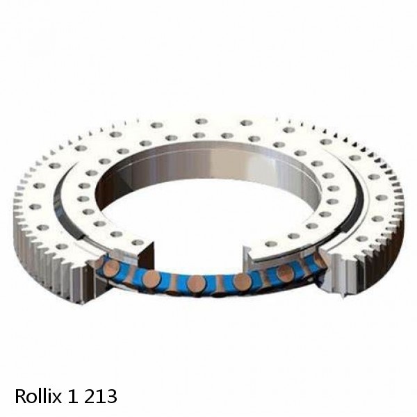 1 213 Rollix Slewing Ring Bearings