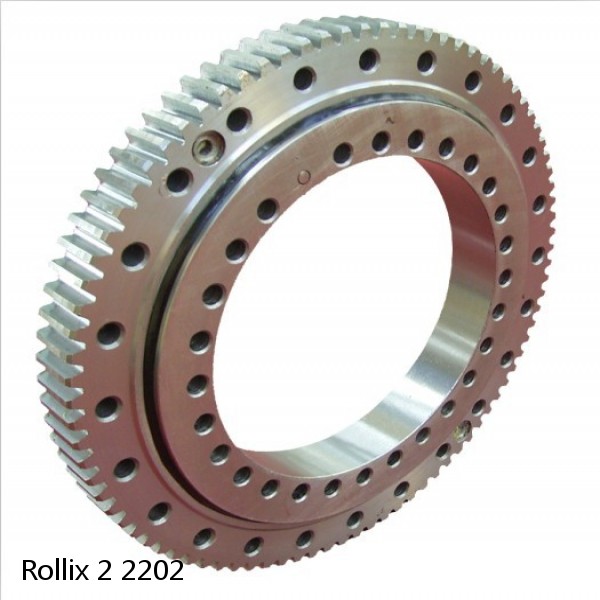 2 2202 Rollix Slewing Ring Bearings