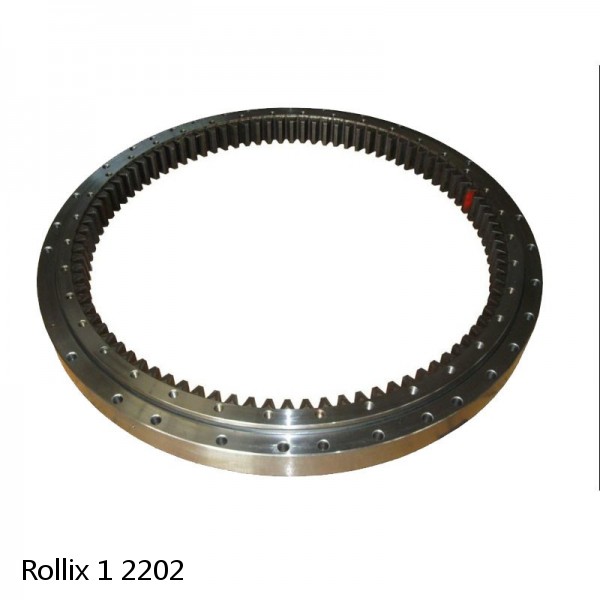 1 2202 Rollix Slewing Ring Bearings