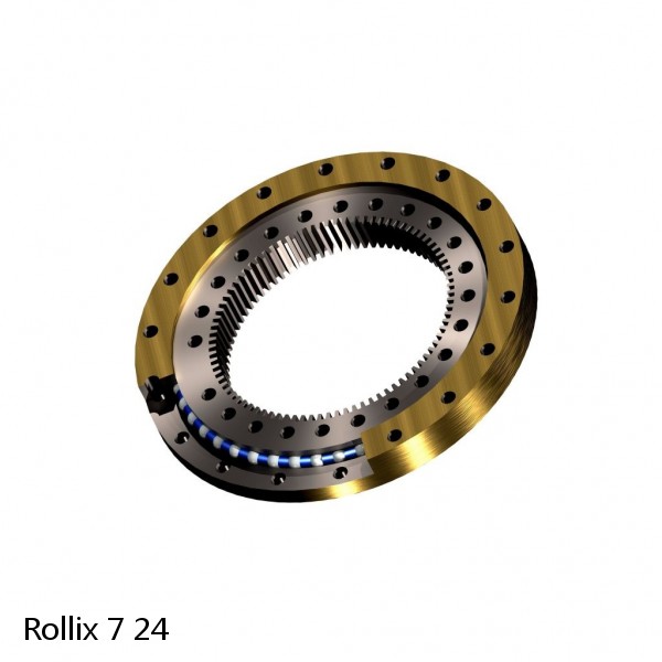 7 24 Rollix Slewing Ring Bearings