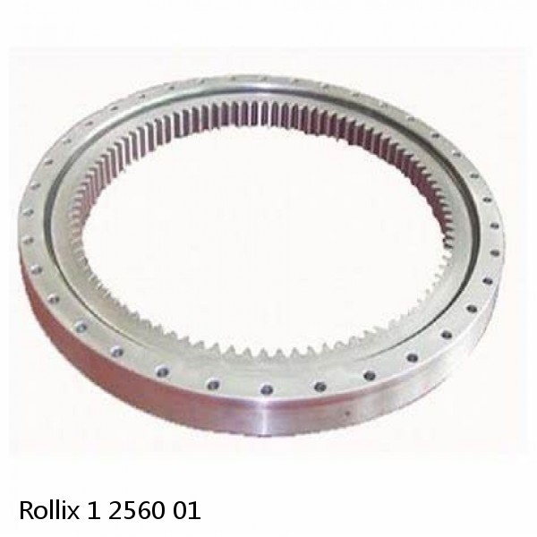 1 2560 01 Rollix Slewing Ring Bearings