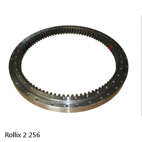 2 256 Rollix Slewing Ring Bearings