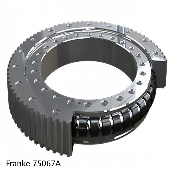 75067A Franke Slewing Ring Bearings