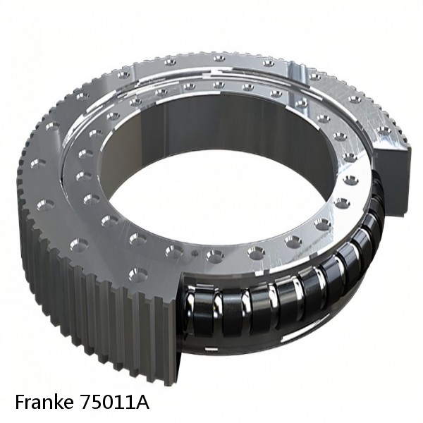 75011A Franke Slewing Ring Bearings