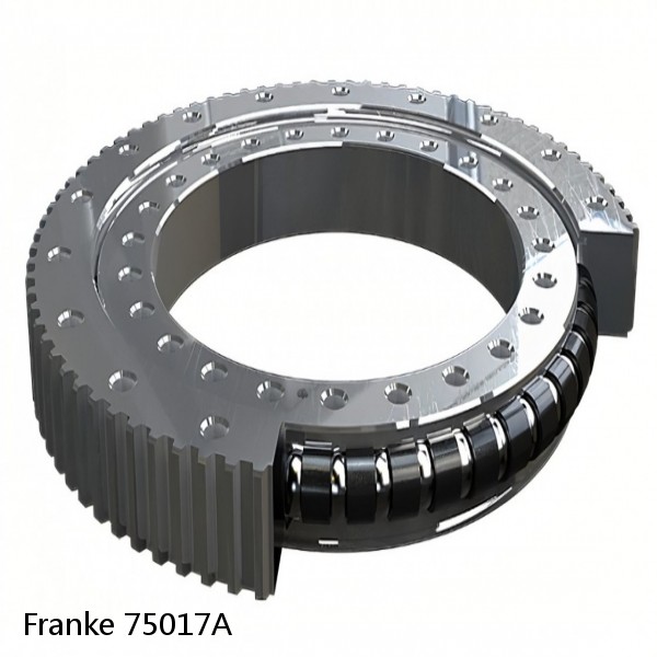 75017A Franke Slewing Ring Bearings